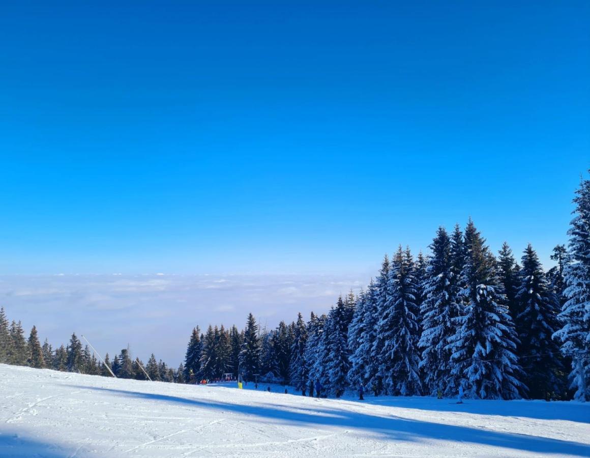 Flora Ski-Slope Studio Apartment Borovec Kültér fotó