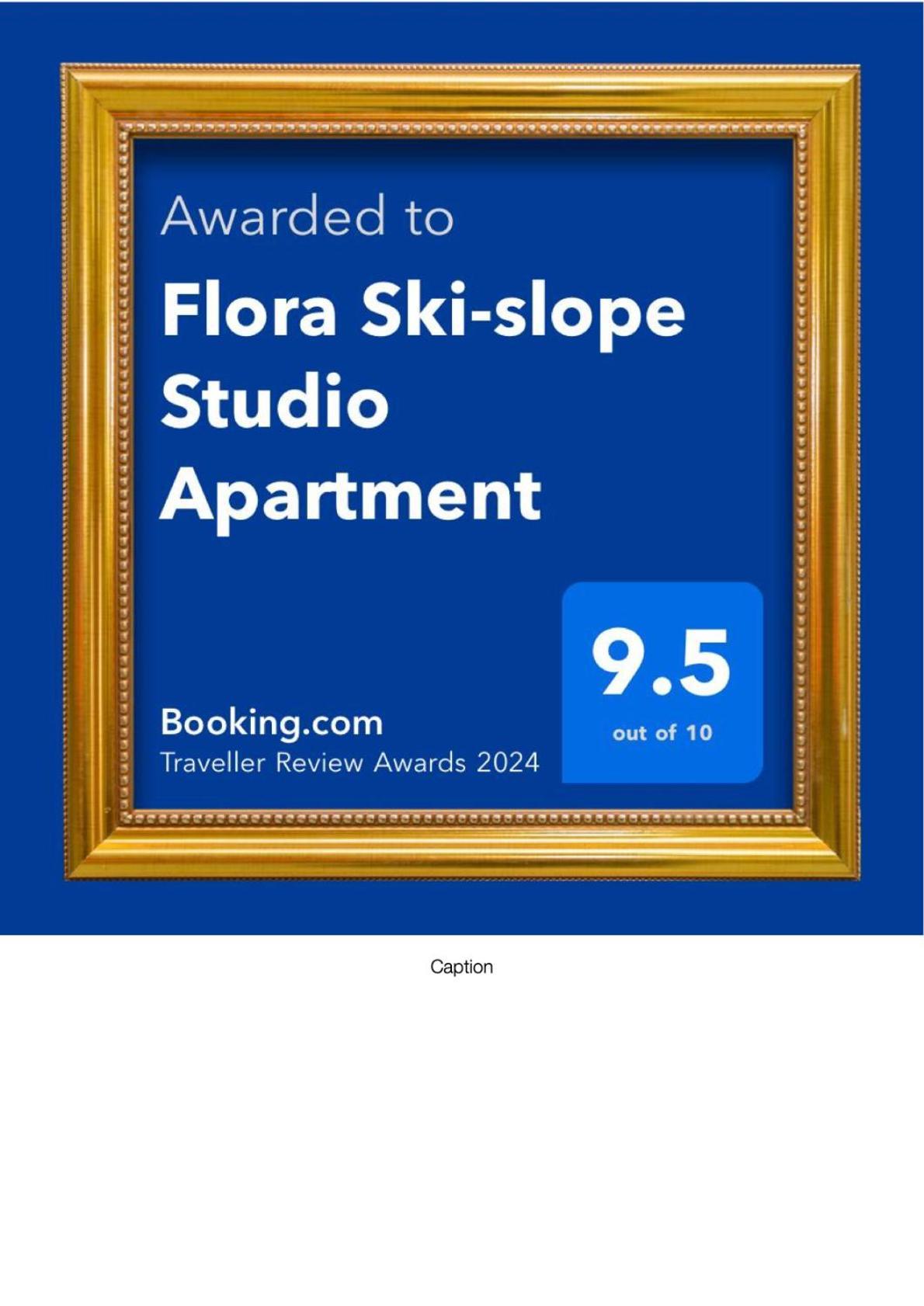 Flora Ski-Slope Studio Apartment Borovec Kültér fotó